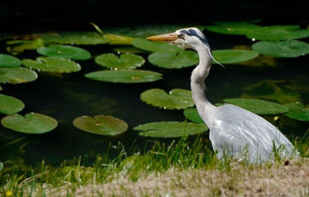 Fotokurs Schlossgelände und Tiergarten als Geschenk