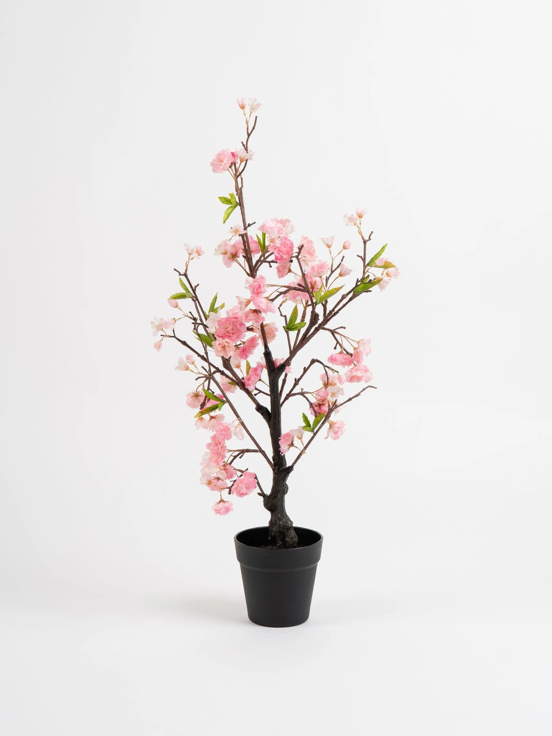Scottish Everlastings Ltd Artificial Cherry Blossom Tree
