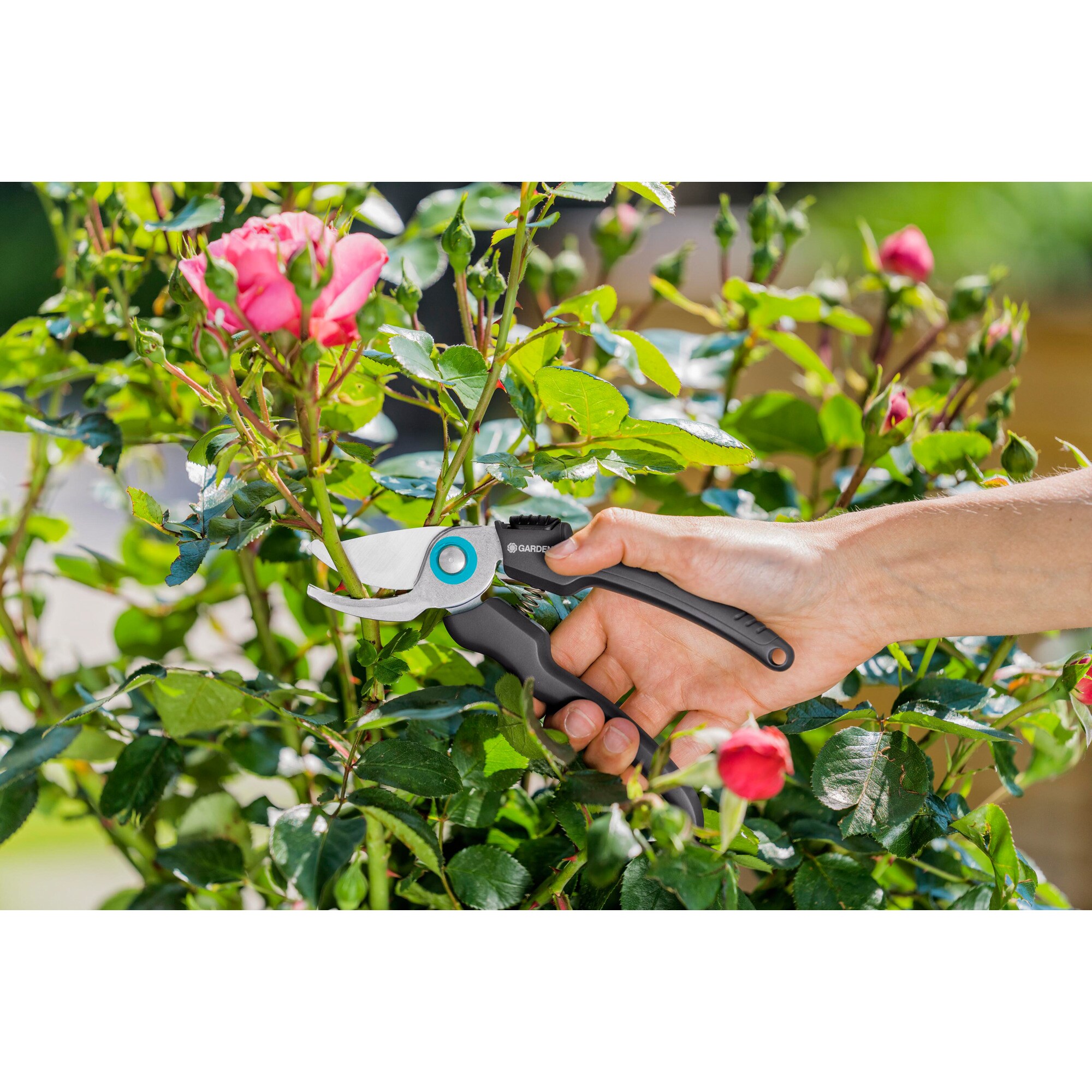 GARDENA Gartenschere EcoLine Gartenschere
