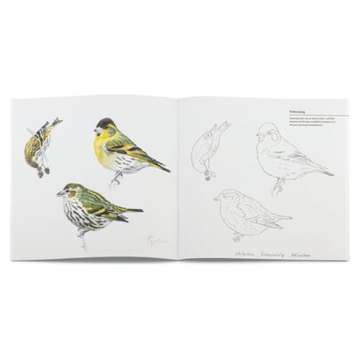 Mal- und Zeichenbuch, Singvögel 2
