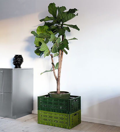 Aykasa Klappbox - 60x40x22 cm - Maxi - Teal