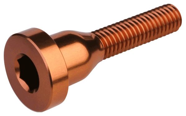 Vis de Capot de Direction Burgtec Top Cap Bolt Bronze