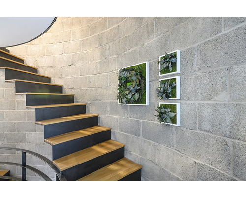 Plantenfoto jungle design lijst wit 55x55 cm