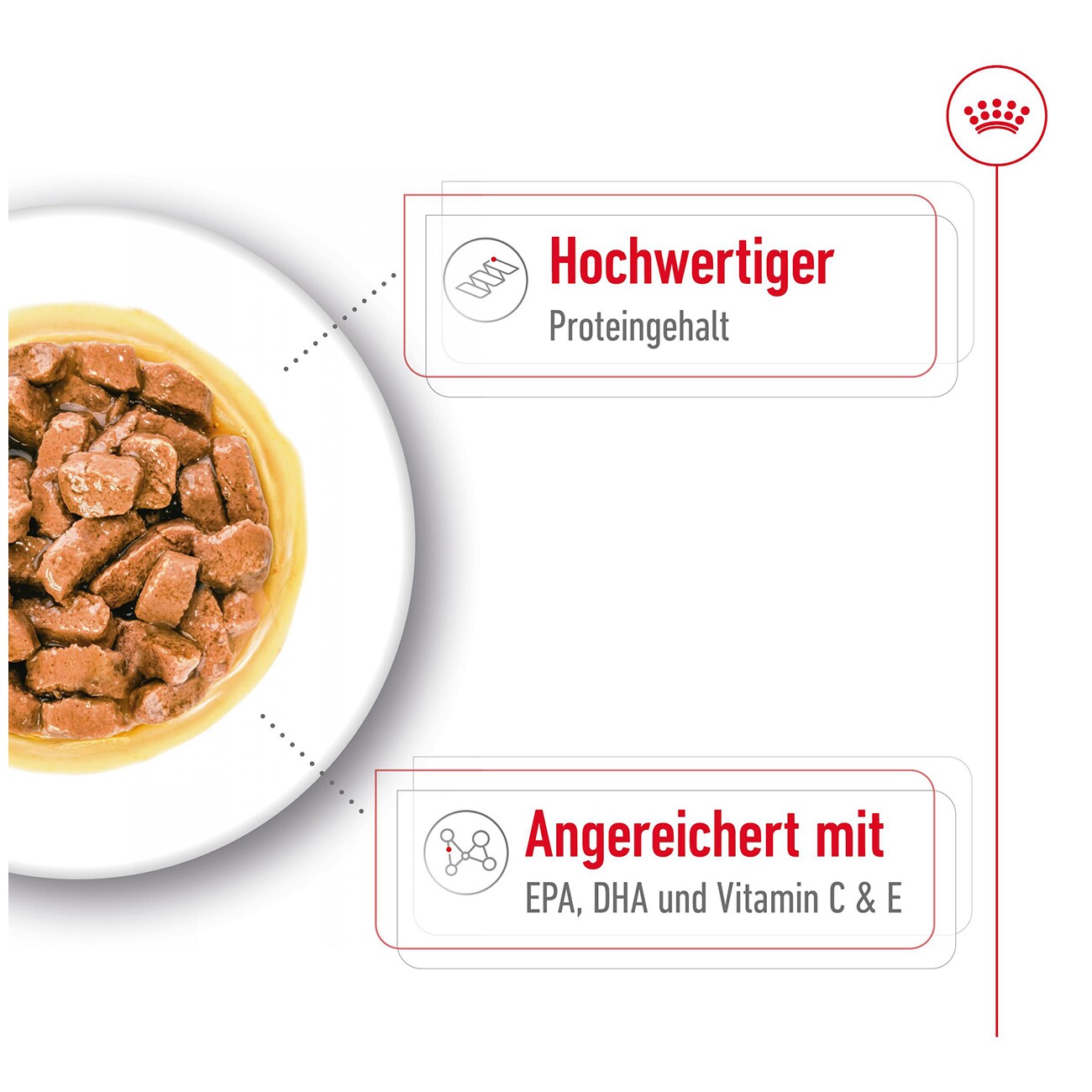 ROYAL CANIN Medium Ageing 10+ in Soße 10x140 g