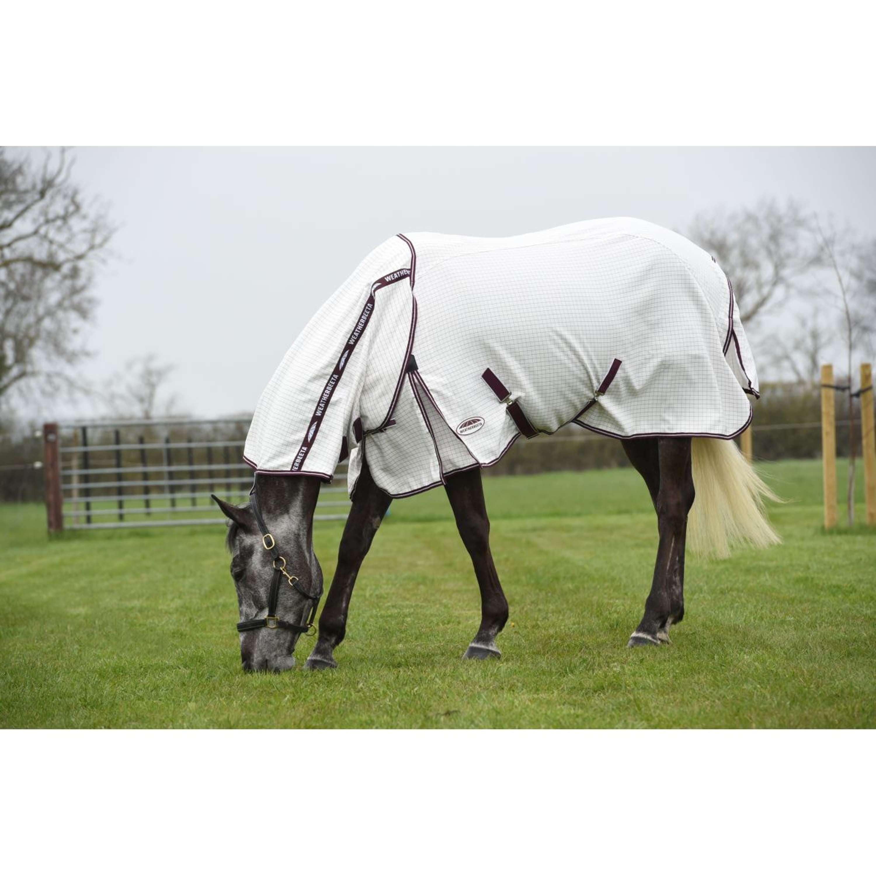 WeatherBeeta Zomerdeken Hybrid Seasons Combo Neck White/Maroon