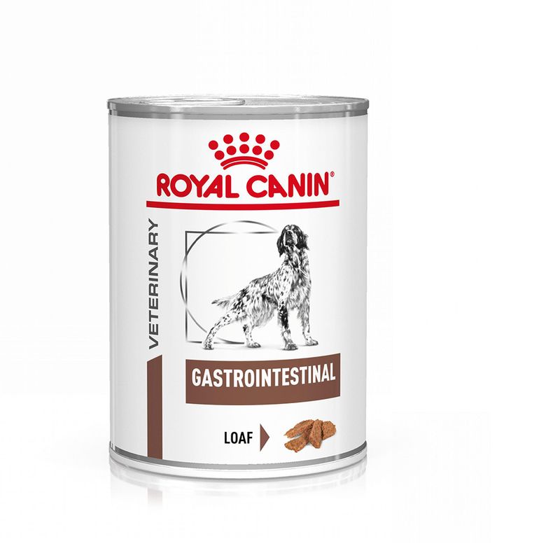 Royal Canin Veterinary Canine Gastrointestinal en mousse