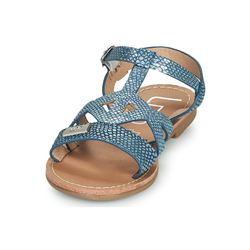 Les Petites Bombes - J-DARCY - Bleu