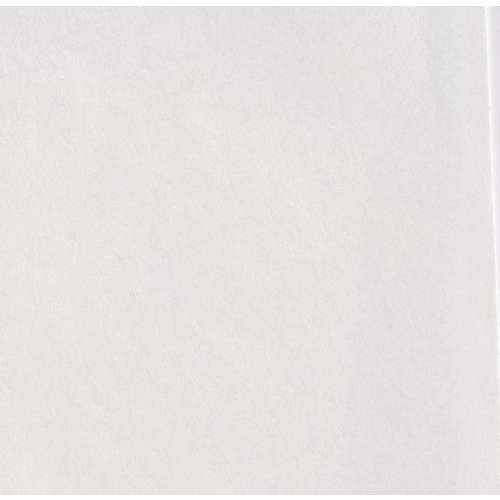 Japanpapier Tosa Shi