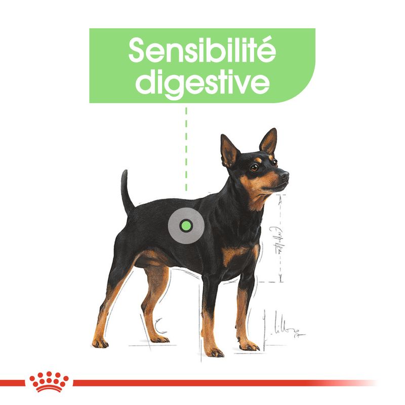 Royal Canin Mini Digestive Care à prix discount sur bitiba.fr