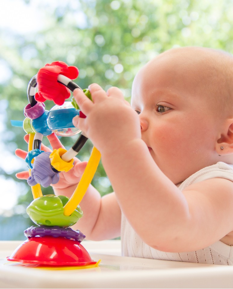 Playgro - Aktivitetsleg med sugekop (60-1-0182212)