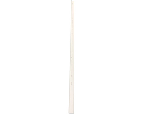 Hager plintgoot bovenstuk 2,0 m voor SL 20x55 mm verkeerswit SL2005529016