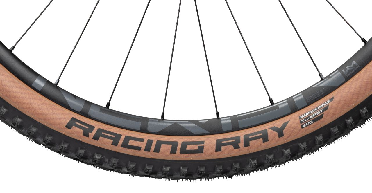 Radon Jealous AL 10.0 SL kaufen | Bike-Discount