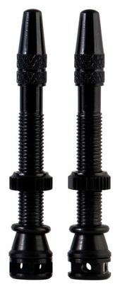 Valves Tubeless SB3 MKII 44 mm Aluminium Noir