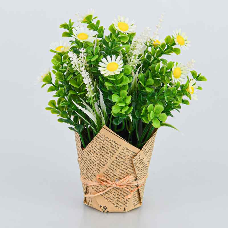 Marguerites en pot