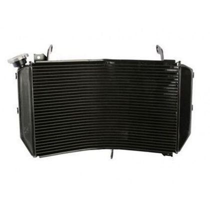 Radiateur Brazoline A EAU ADAPTABLE