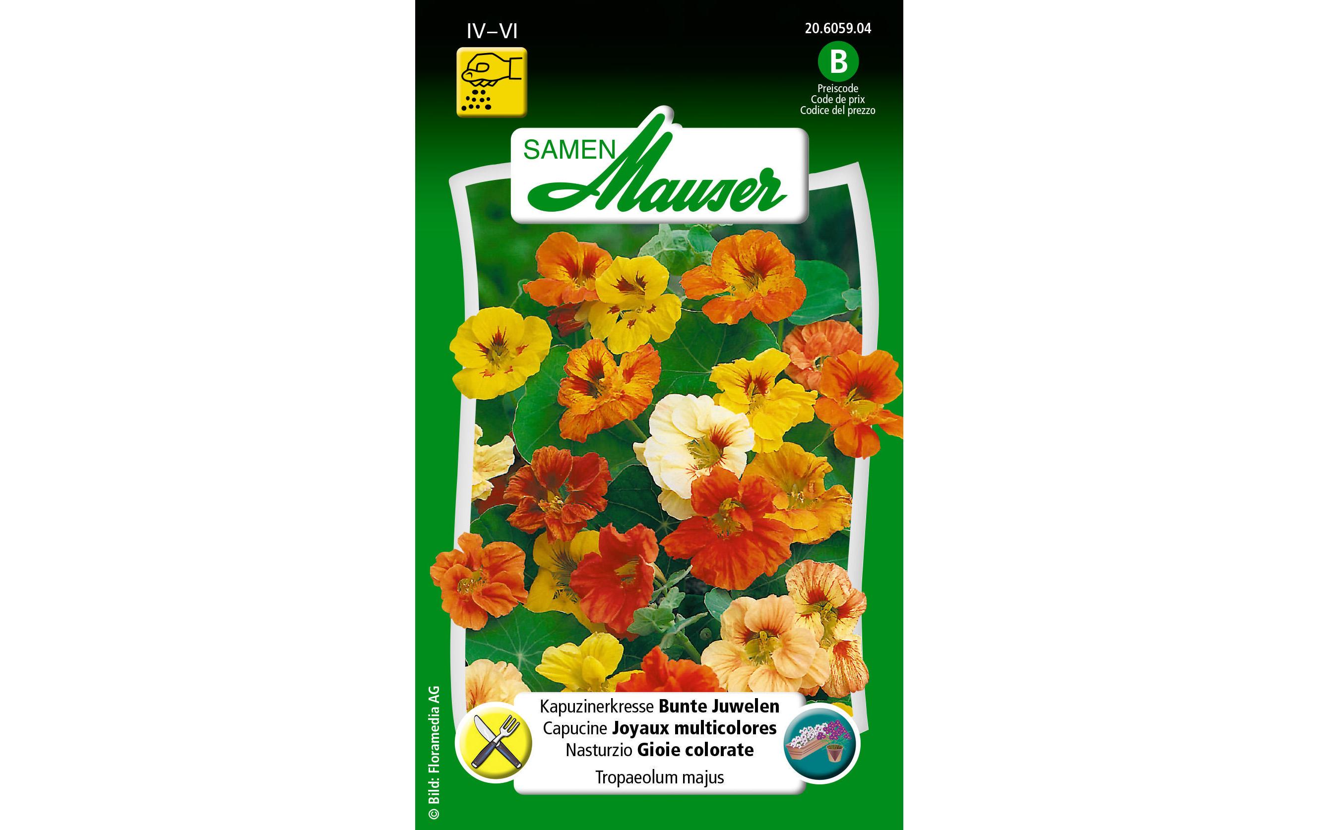 Essbare Blüten Kapuzinerkresse Bunte JuwelenBlumensamen