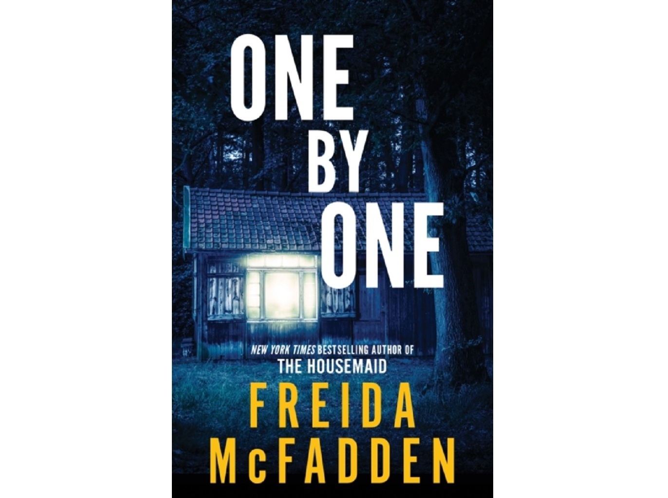 LIVRO ONE BY ONE THE FREIDA MCFADDEN