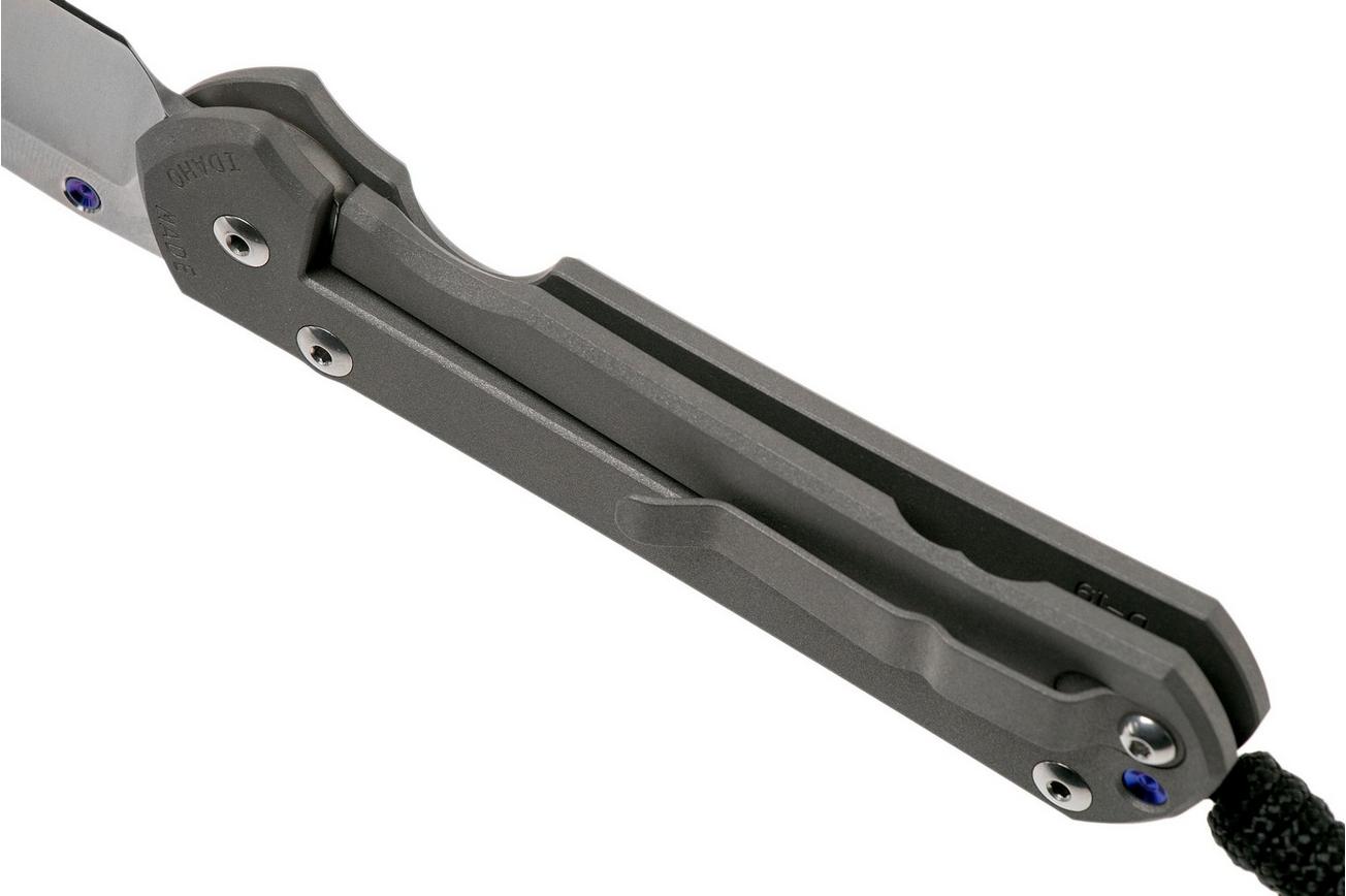 Chris Reeve Sebenza 31 Large Plain L31-1000 zakmes