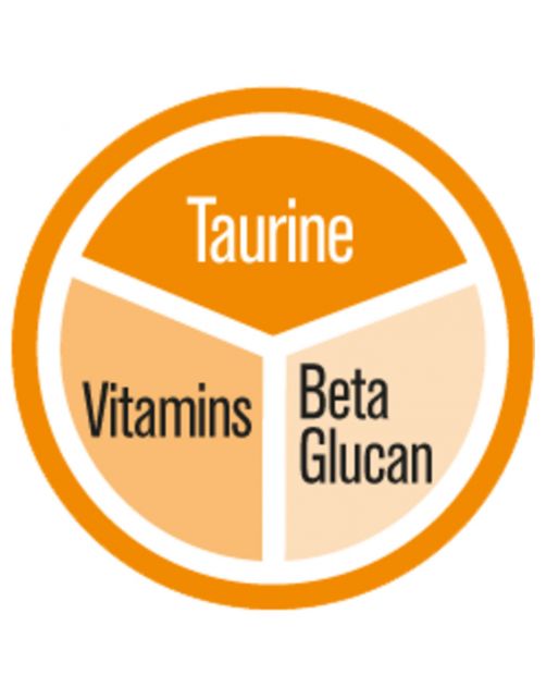 Gimcat Multi-Vitamine Tabs - Kattensnack - 40 g