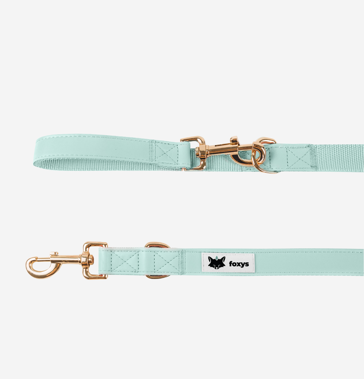 Kit de coleira e guia para cães CITYFOX™ AQUA