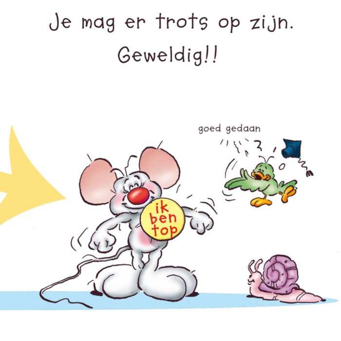 Doodles | Geslaagd kaart | muis | illustratie
