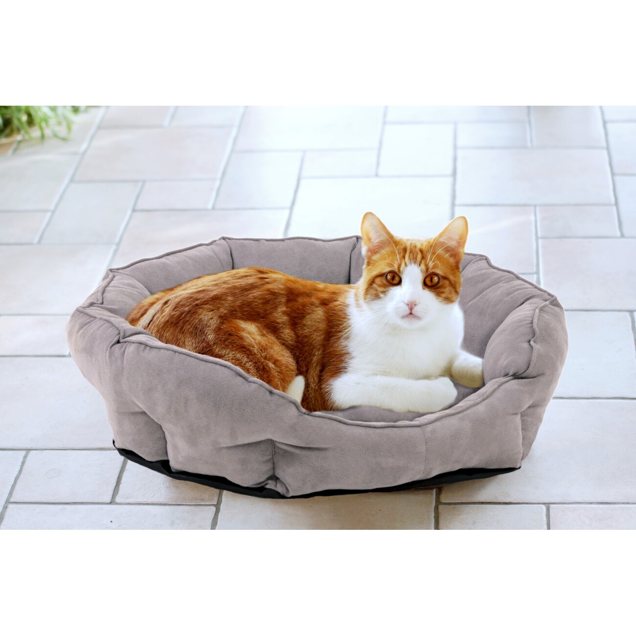 Rohrschneider ® Hundebett, Katzenkorb mit Gratis-Wassernapf