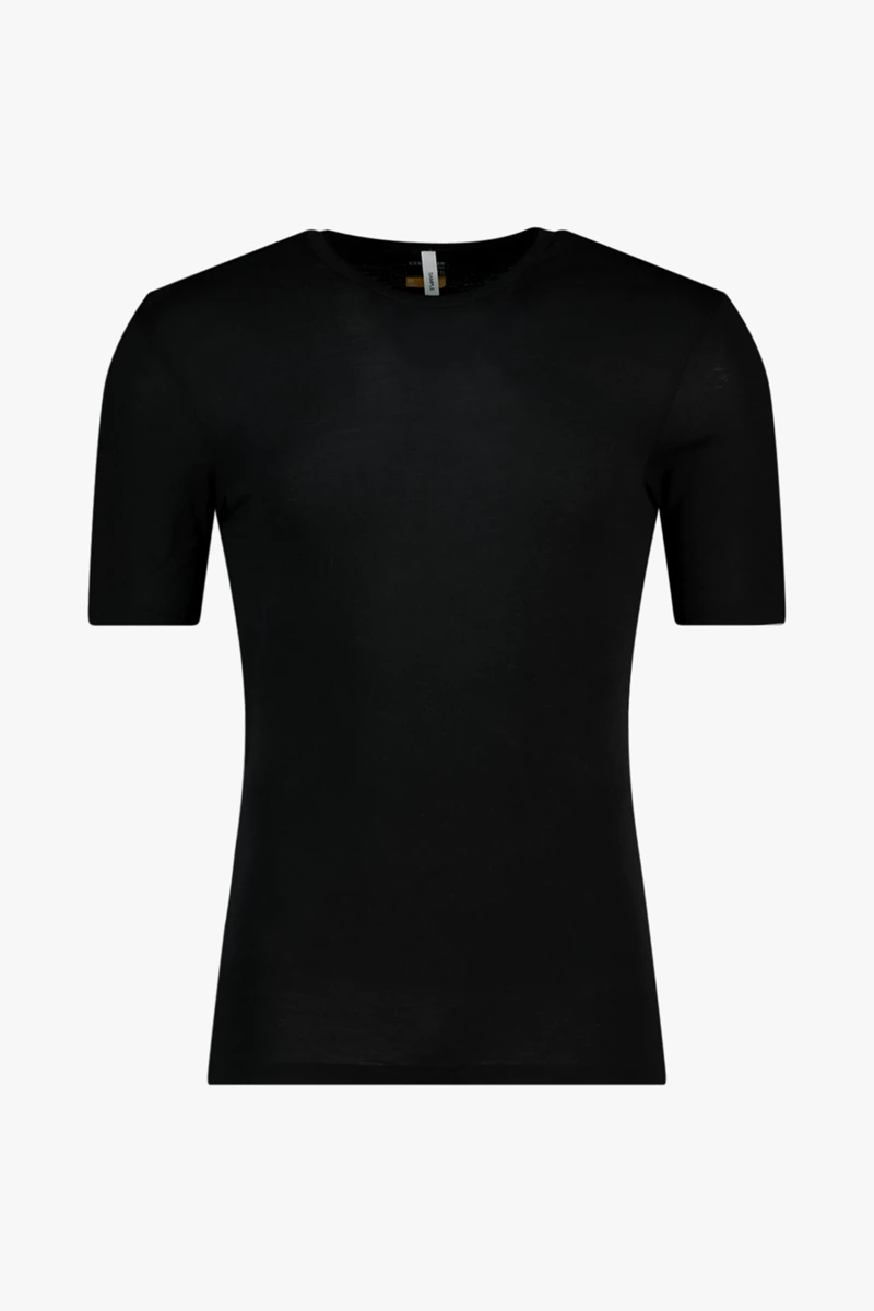 icebreaker Merino 175 Everyday Herren Thermoshirt