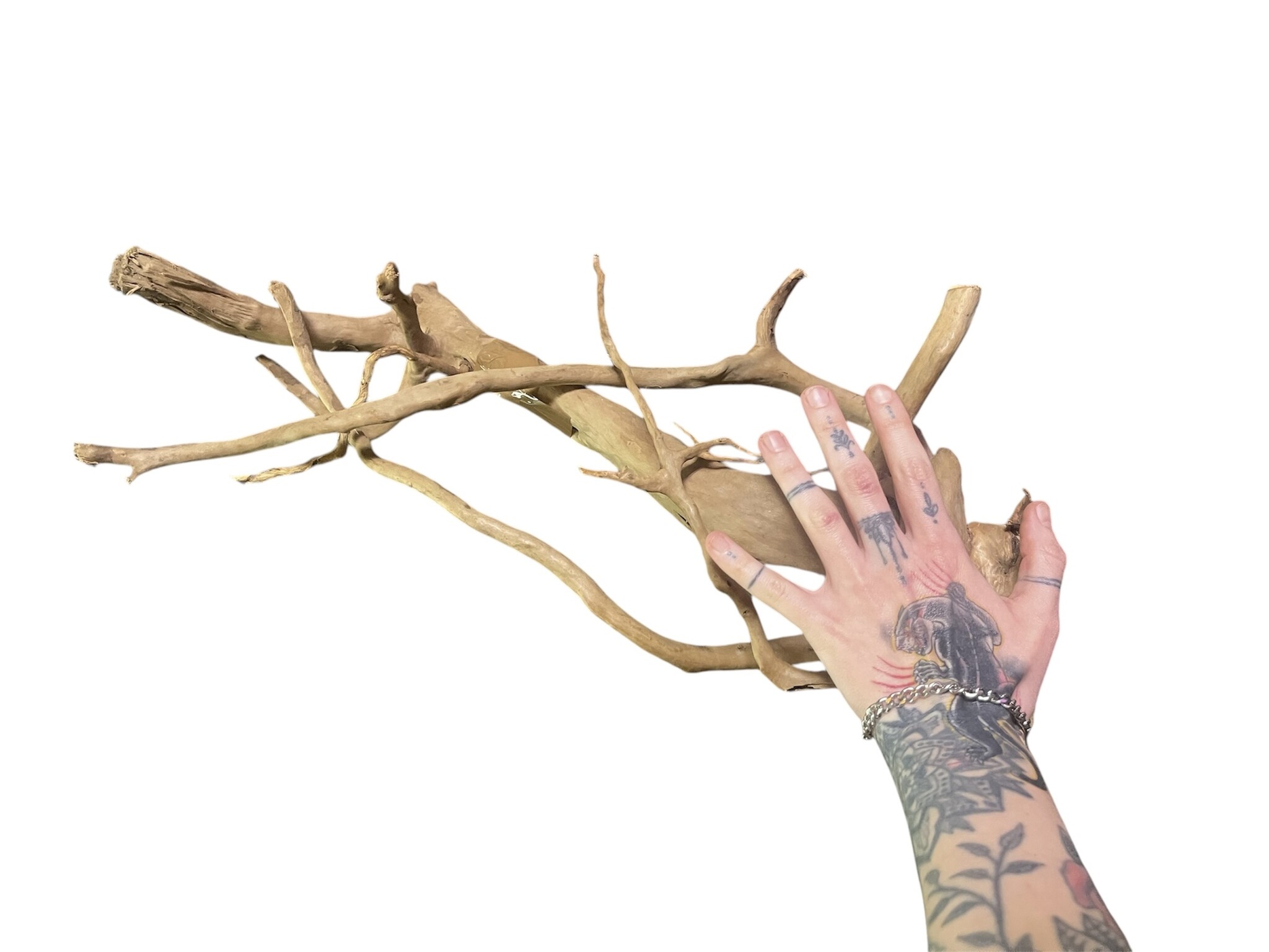AquastoreXL Boomstronk XXL 50 - 80 cm 1,15kg - NR21 | natuurlijk hout