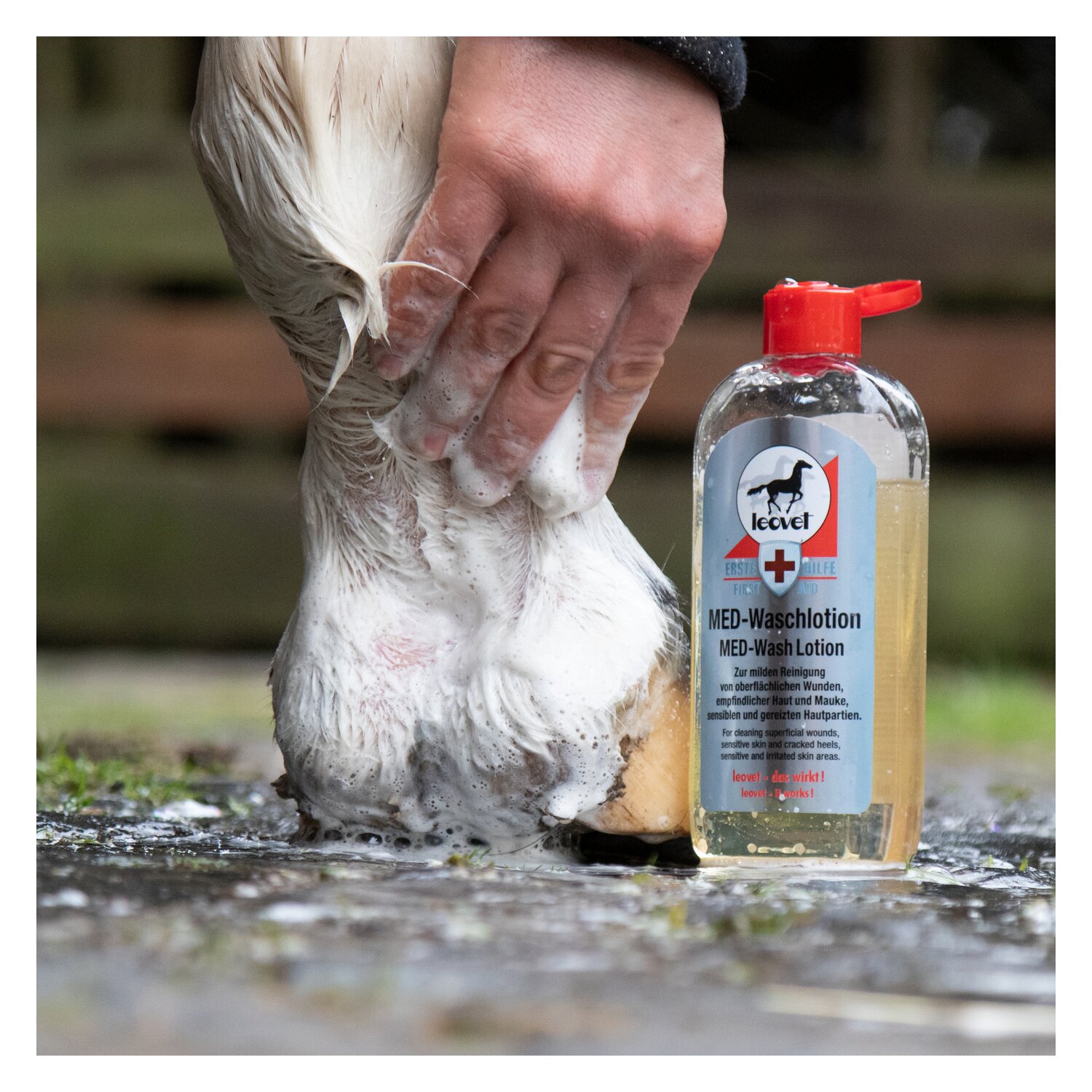 leovet MED-Waschlotion Erste Hilfe  - 250 ml