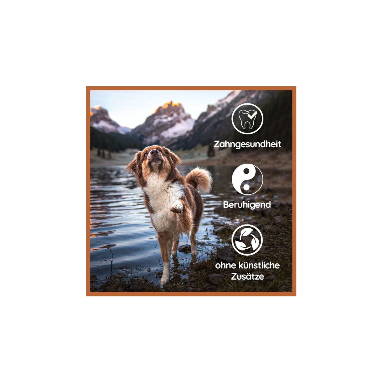 Wildfang ® Kauhorn vom Rind 1 M