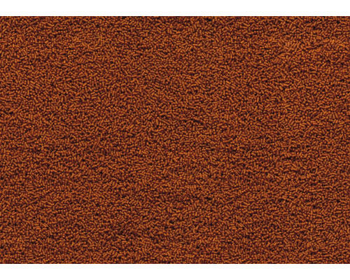 TetraPond Sterlet Sticks 1 liter