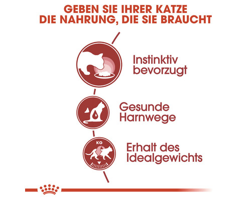 ROYAL CANIN FHN Instinctief natvoer voor katten 85 g