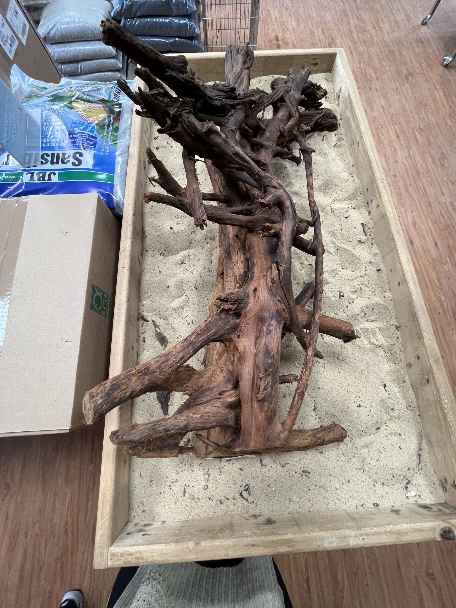 AQXL Selected Mangrovehout XL A 70-90cm