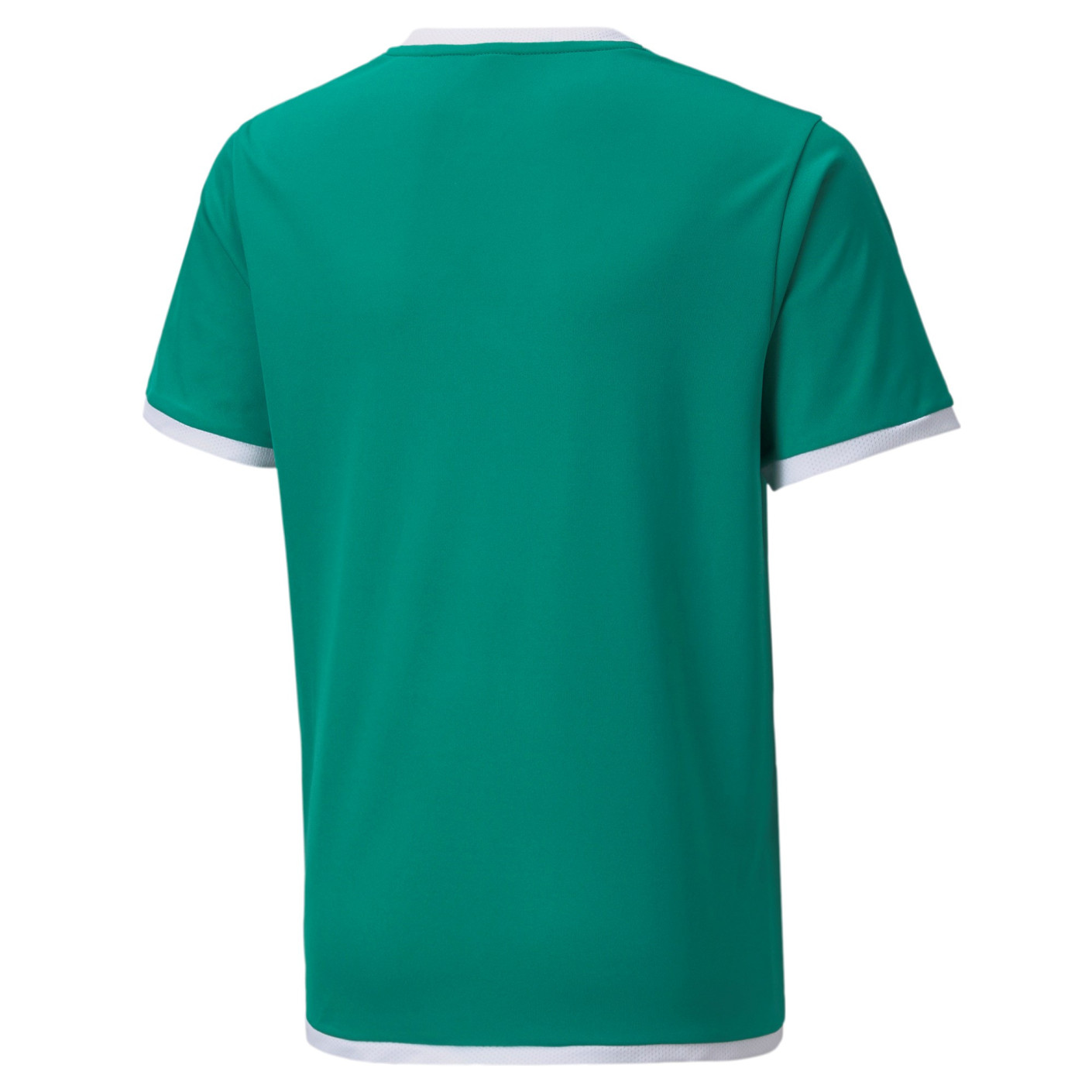 PUMA teamLIGA Trainingsset Kids Groen Wit