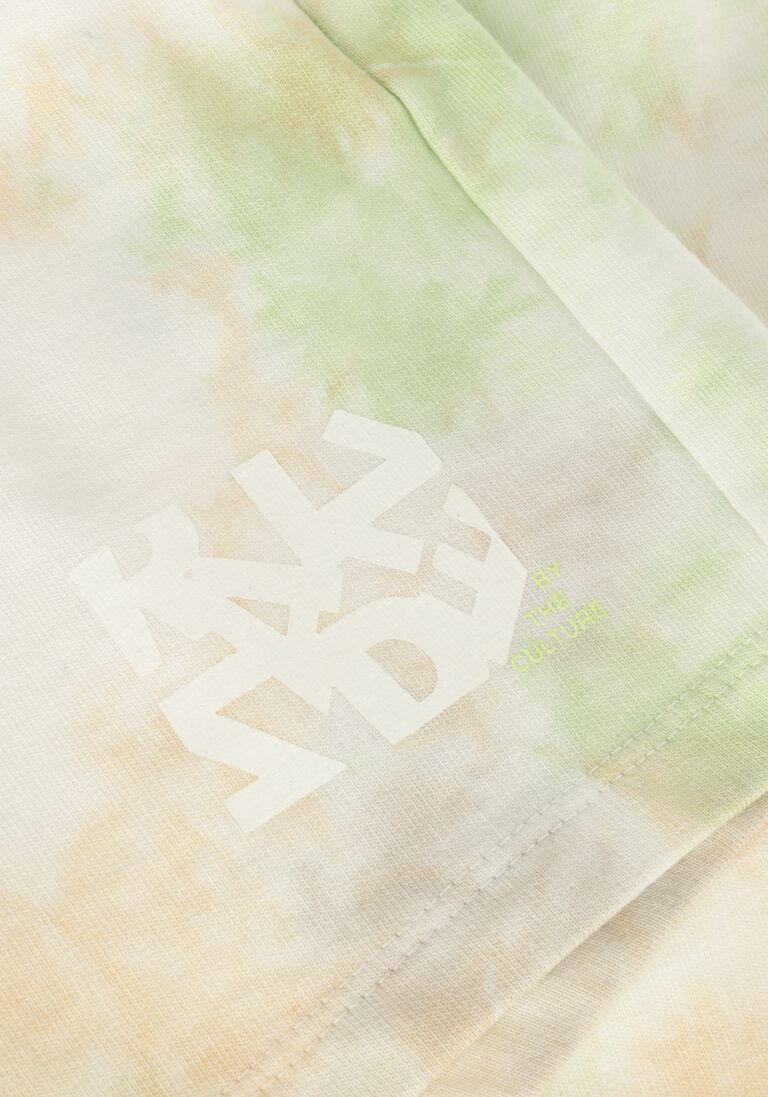 RAIZZED groene raizzed shorts naya