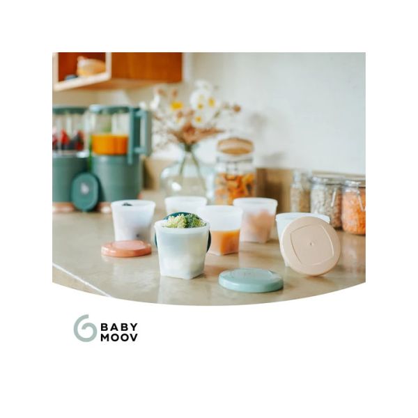 Babymoov Babybols Bewaarbakjes - 250 ml - 6 Stuks