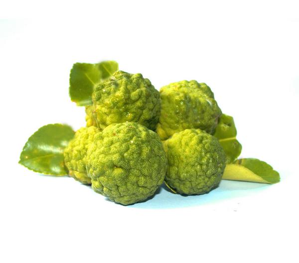 Kaffir-Limette