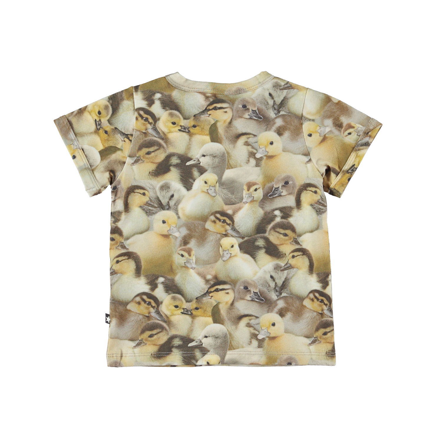 Easy - Ducklings