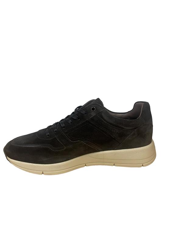 Greve 3284-07 3337 brown