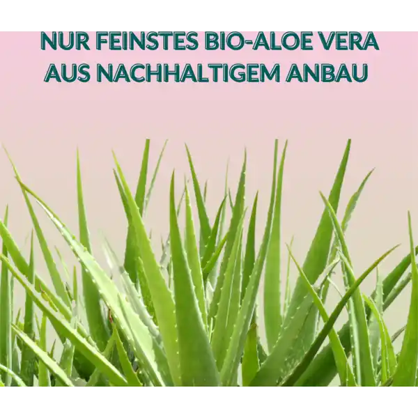 Fresh n'Relax - Organic Aloe Vera Face & Body Gel