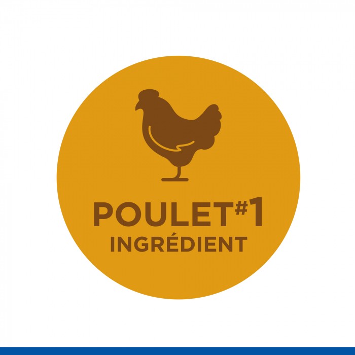 HILL'S Science Plan No Grain All Breed Mature Adult 7+ au Poulet - Croquettes pour chien