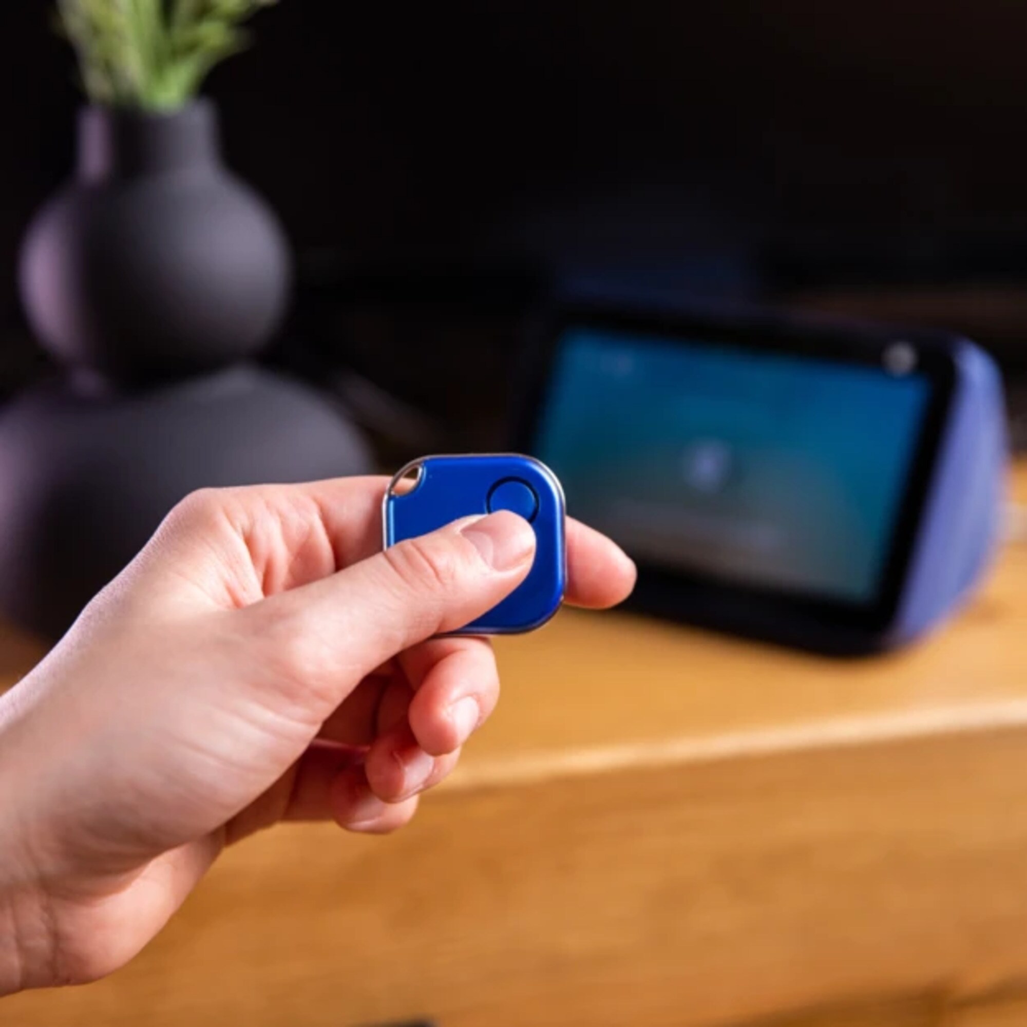Shelly Taster Blu Button1