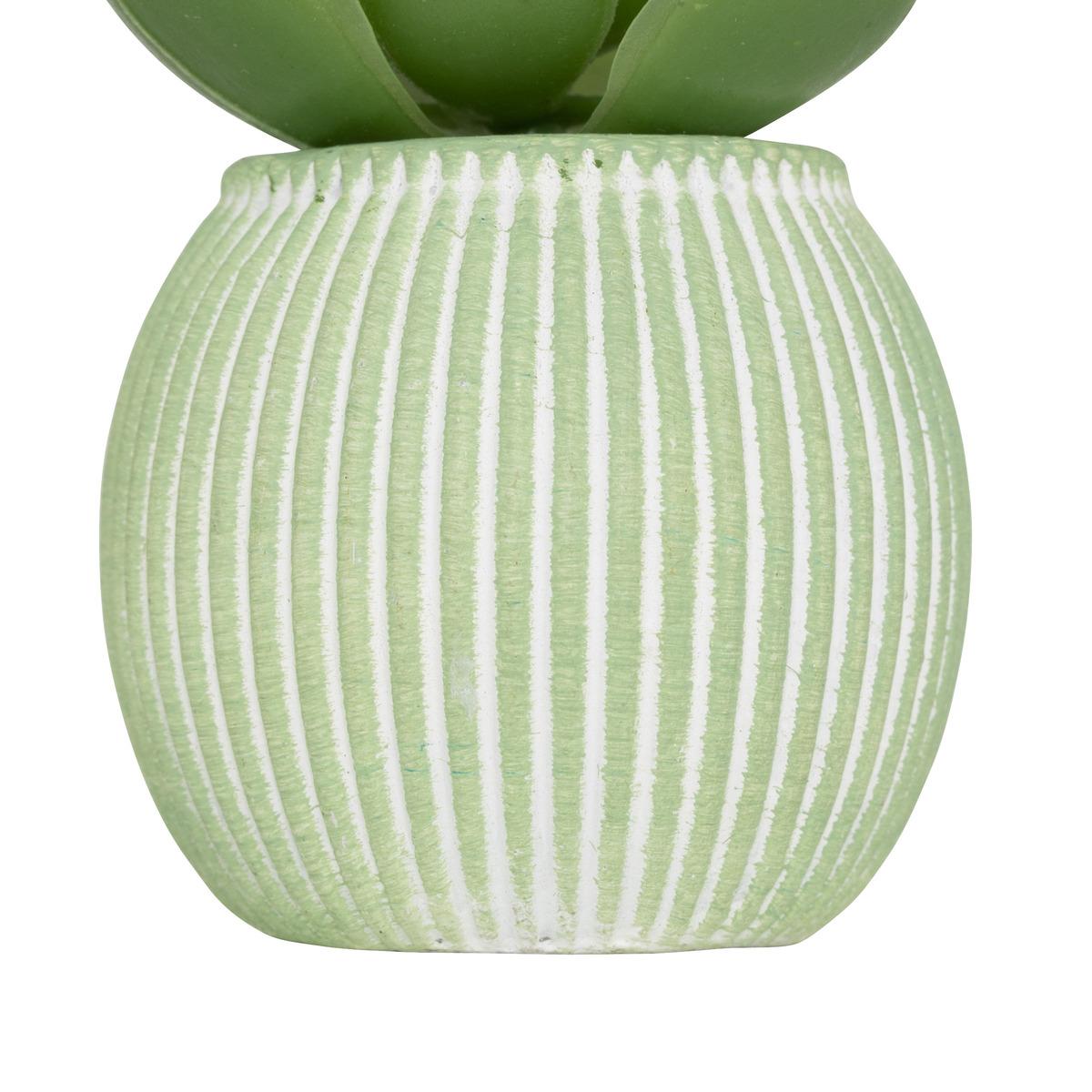 MINI PLANTE GRASSE POT CIMENT UBI H.7CM