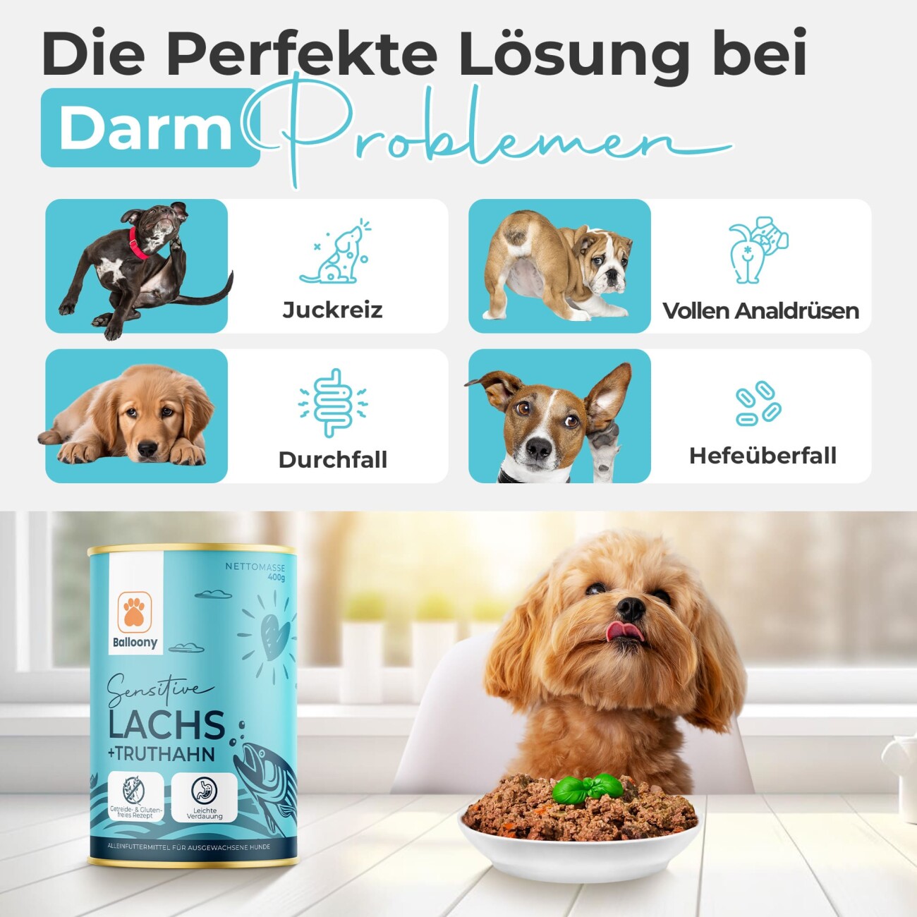 Balloony.pet German Shephy Nassfutter Lachs 2,4 kg