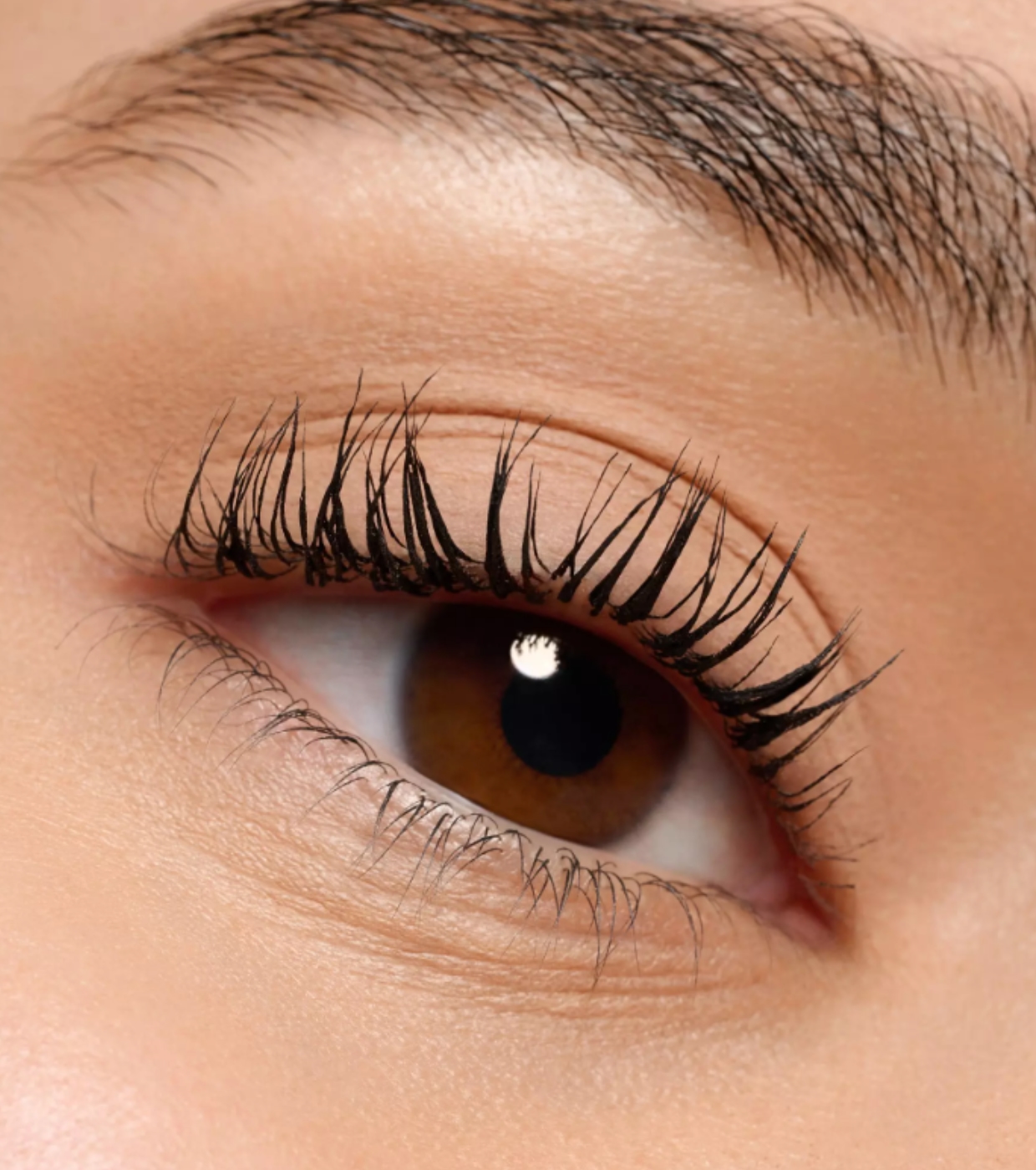essence - Sombra Monocromática Mate - 02: Neutral Brown