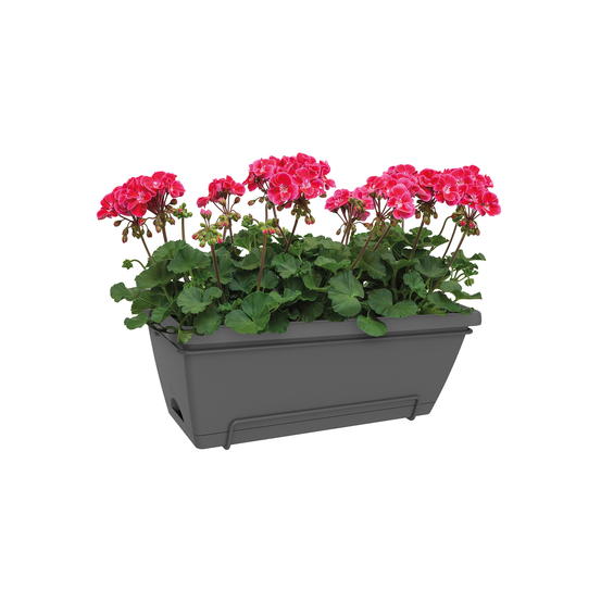 Jardinière Barcelona XL, anthracite L. 55 cm avec support