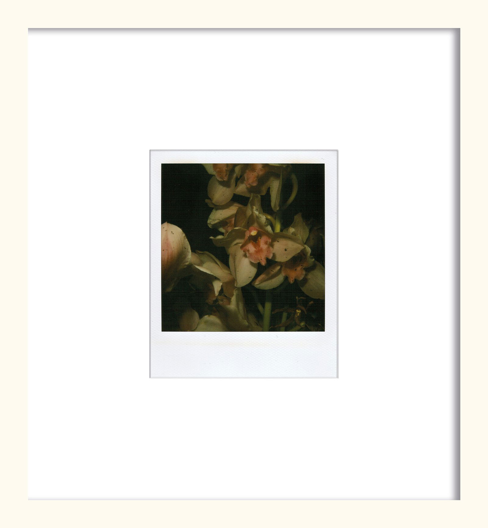 Flower by Nobuyoshi Araki - Unique Artwork