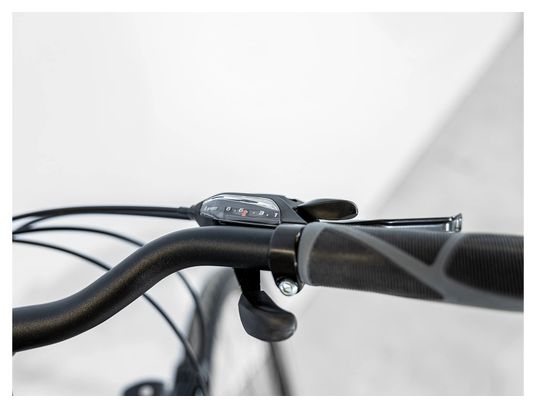 Vélo de Ville Trek Verve 1 Equipped Shimano Tourney/Altus 8V Gris