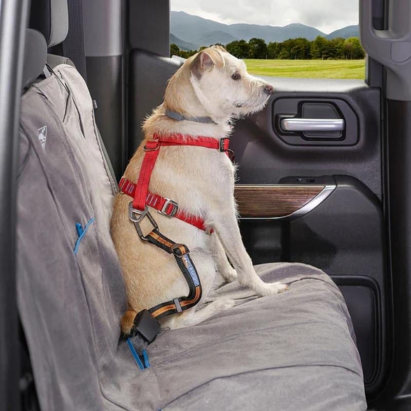 Kurgo Direct To Seatbelt Tether | Oranje-zwart | 11397