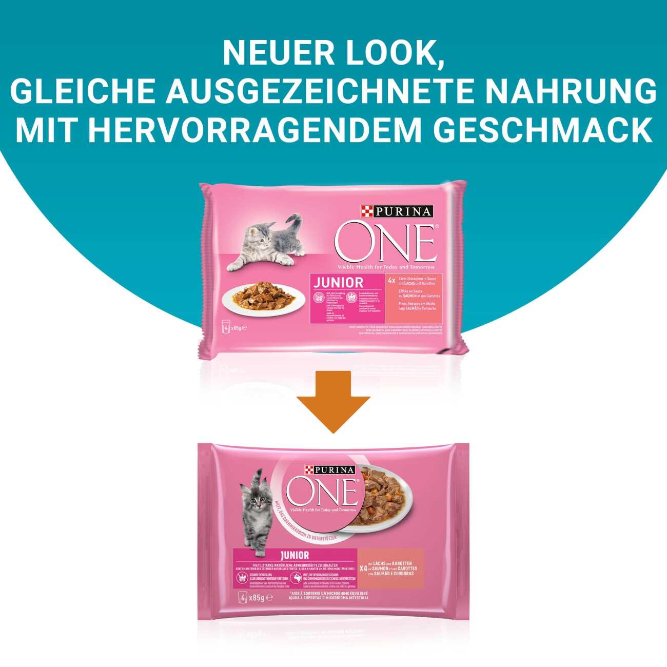 Purina ONE Junior Kittenfutter nass zarte Stückchen in Sauce Lachs 12x4x85 g